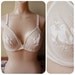 Vintage Sheer Lace Love Bird Bra
