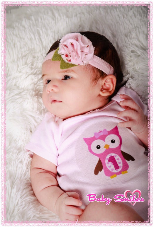 Monthly Onesie Stickers - ToP SeLLeR - Cutest Owl Girls in Town - 13 Stickers (Just Born Included) - Baby Month Stickers