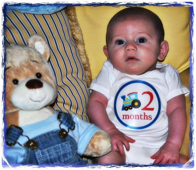 Monthly Baby Onesie Stickers - Baby Boy on the Go -Different Design Each Month -13 Stickers (Just Born Included) - Super Cute for Boys