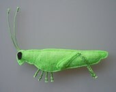 Catnip Cat Toy Green Felt Grasshopper