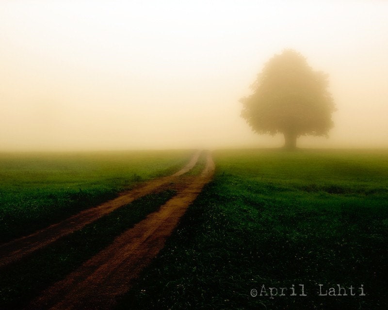 The Road Goes On, Tree and Road Vanishing in the Fog, Misty 8X10 Fine Art Photograph