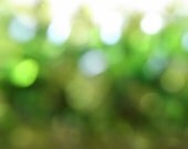Green Bokehs - Fine Art Photography Print 5x7