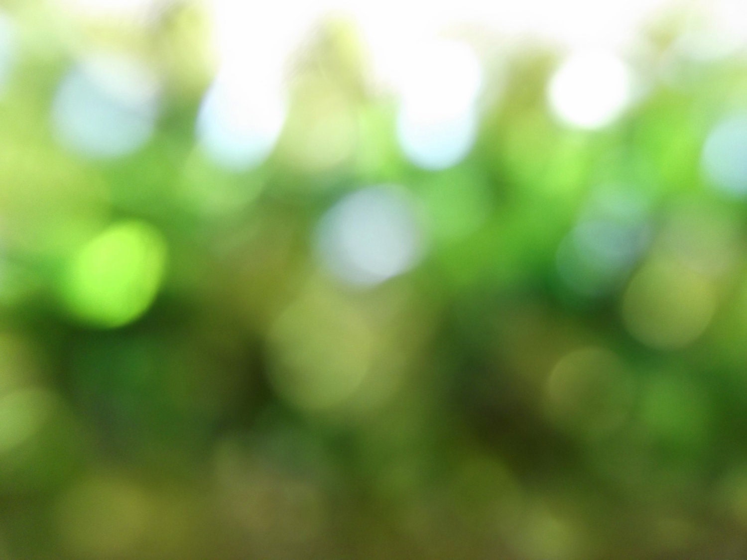Green Bokehs - Fine Art Photography Print 5x7