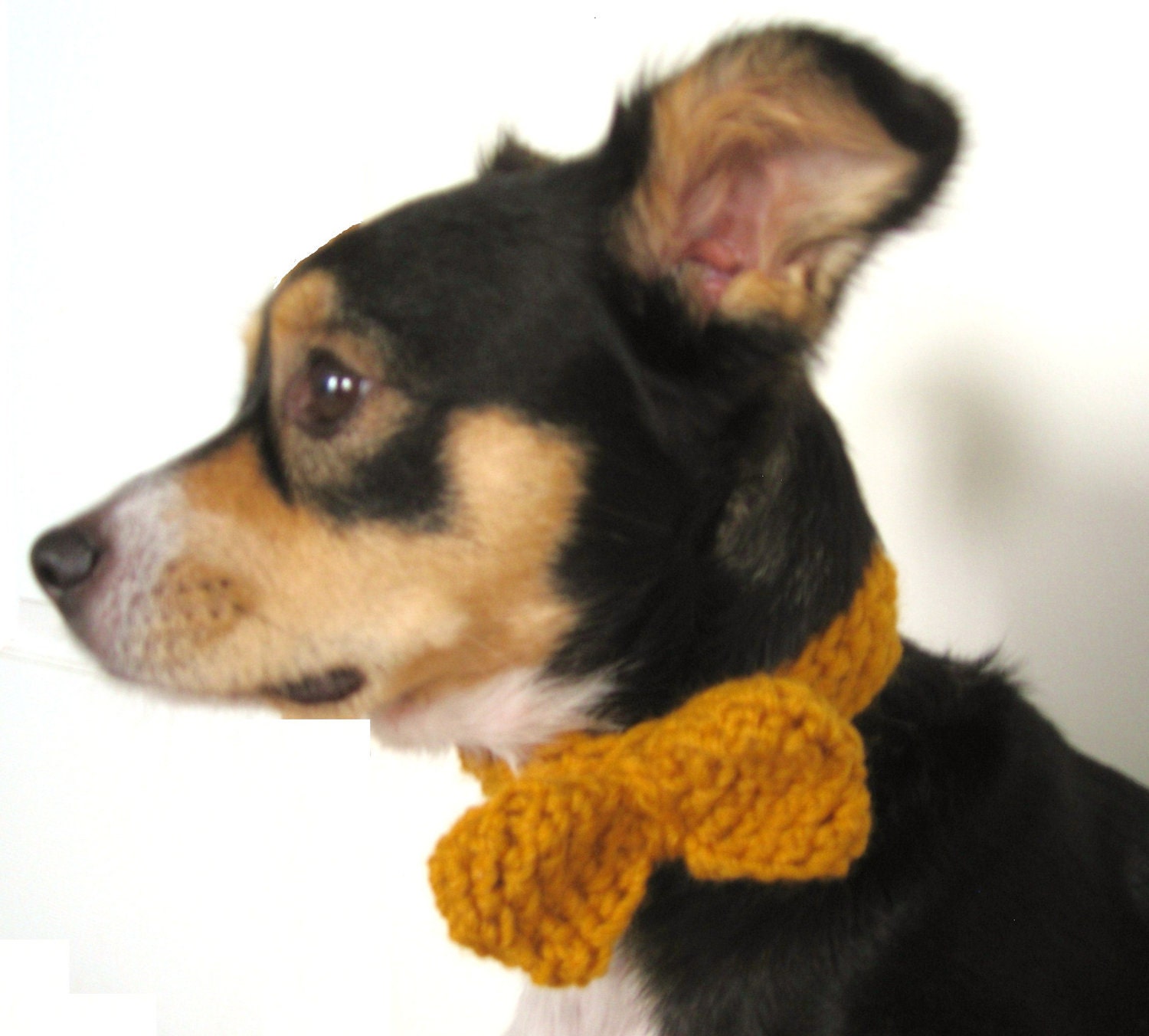 The Bow Tie Collar - Pets - Wool Blend - Gold - meganEsass