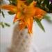Mason Jar Wedding Centerpieces - Wedding Decoration - Candle Holders / Flower Vases - Lace Knit - Set of 10
