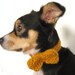 The Bow Tie Collar - Pets - Wool Blend - Gold