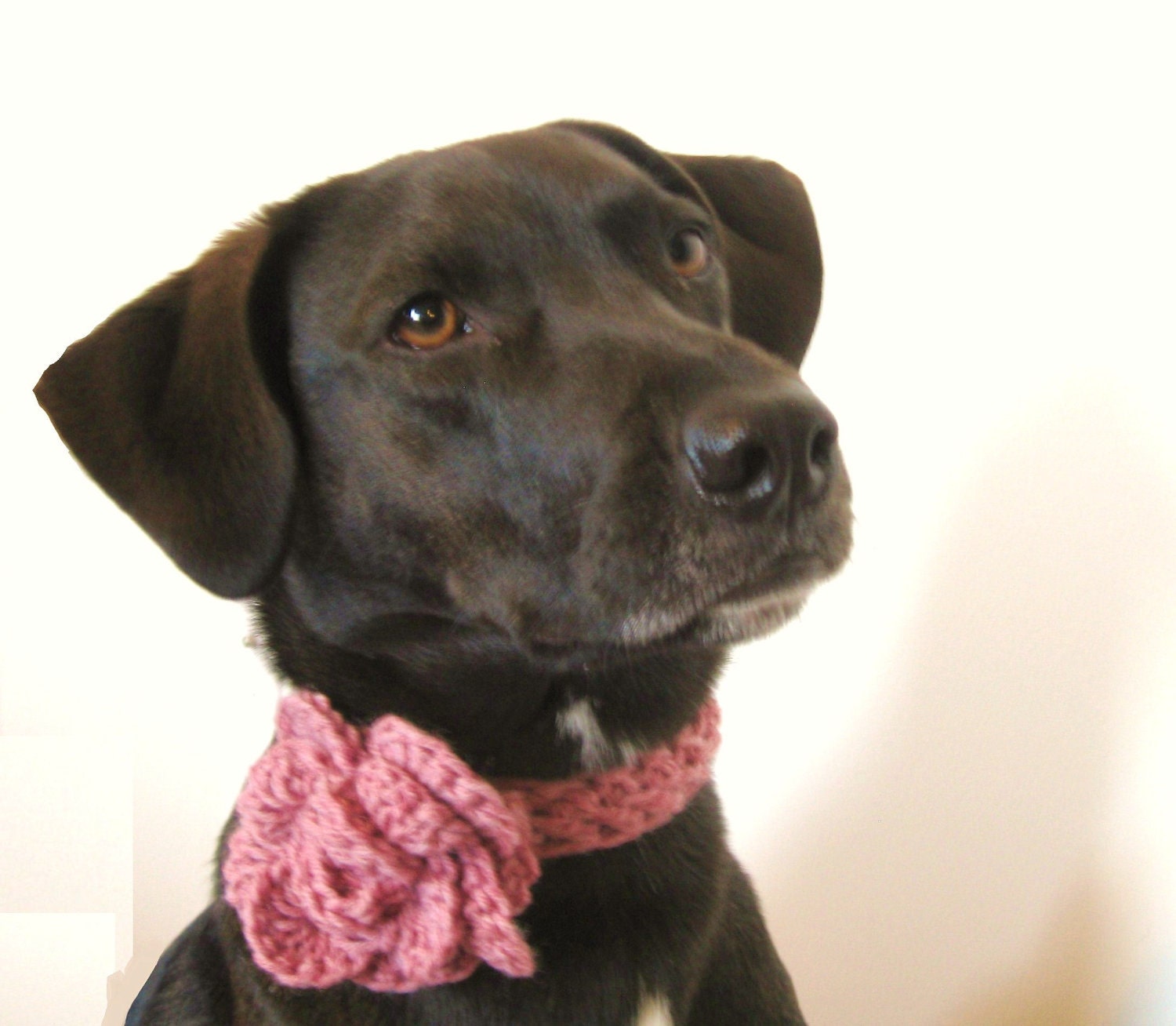 The Blossom Collar - Dogs or Cats - Wool Blend - Blossom Pink - Valentine's Day