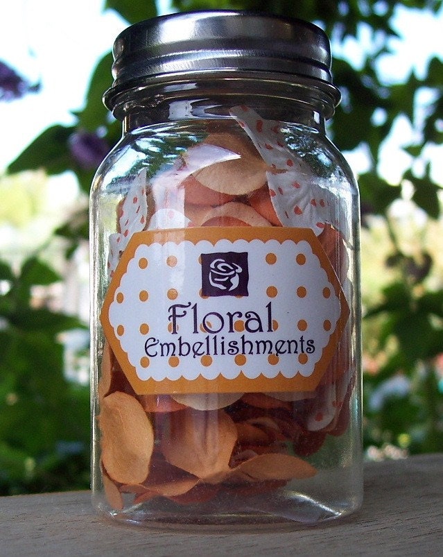 Prima Petites Apricot