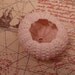 4pc 2" Pink Sea Urchins
