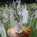 Wishing Tree