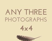 Set of any THREE 4x4 photographs by Kanelstrand