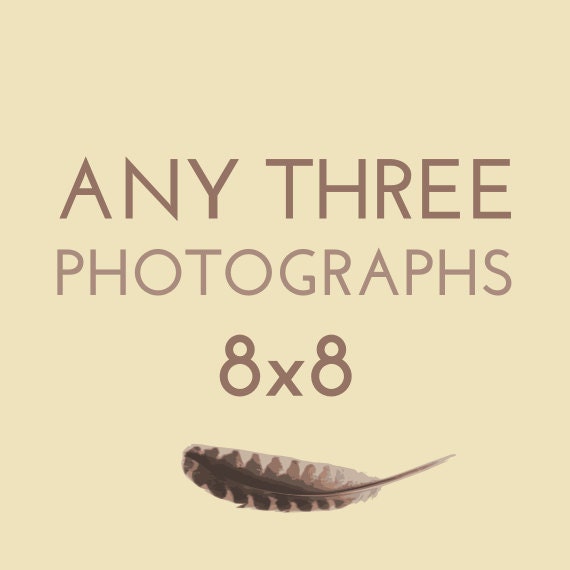 Set of any THREE 8x8 photographs by Kanelstrand