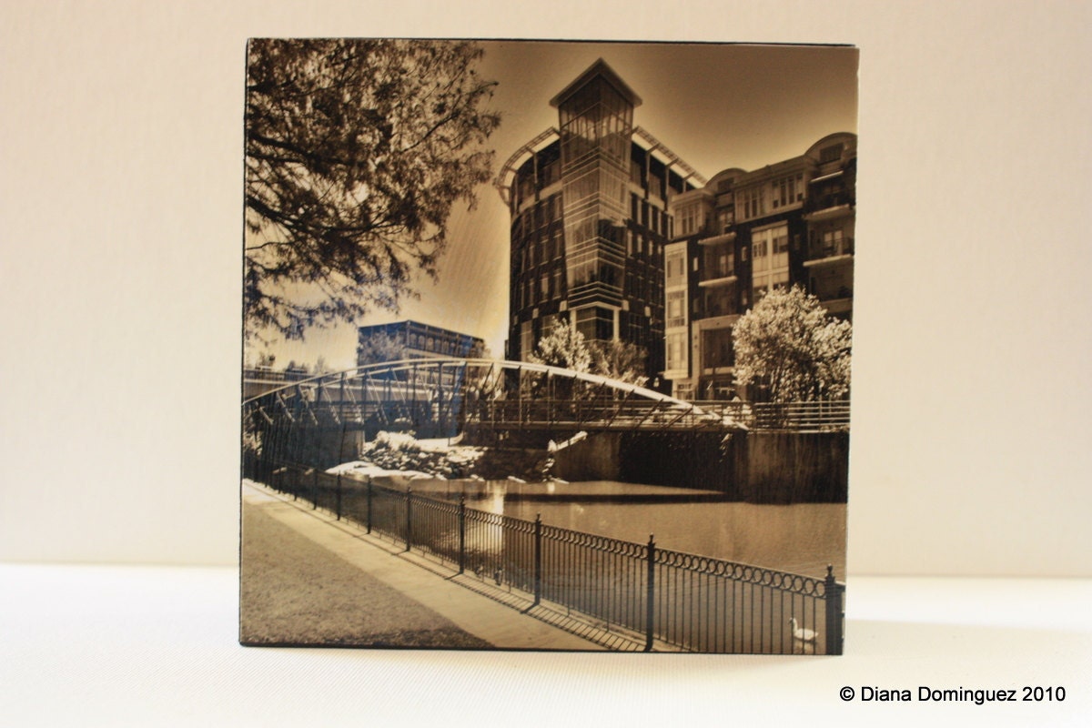 Photography Greenville 6x6 Photo Box  SC Sepia