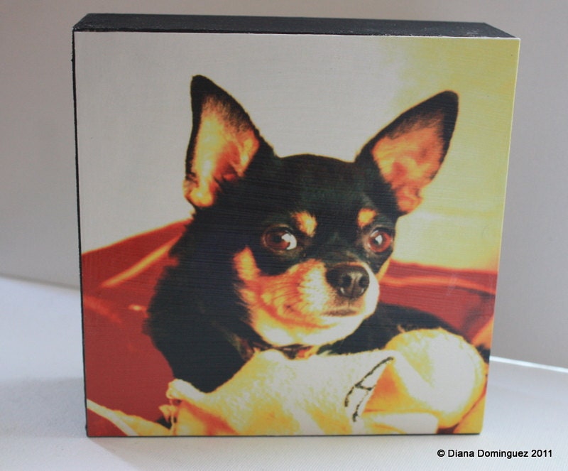 Customized  Photo for Nancy- Digital editing 8x10