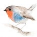 Little Red Breasted Bird - Original Watercolor Painting