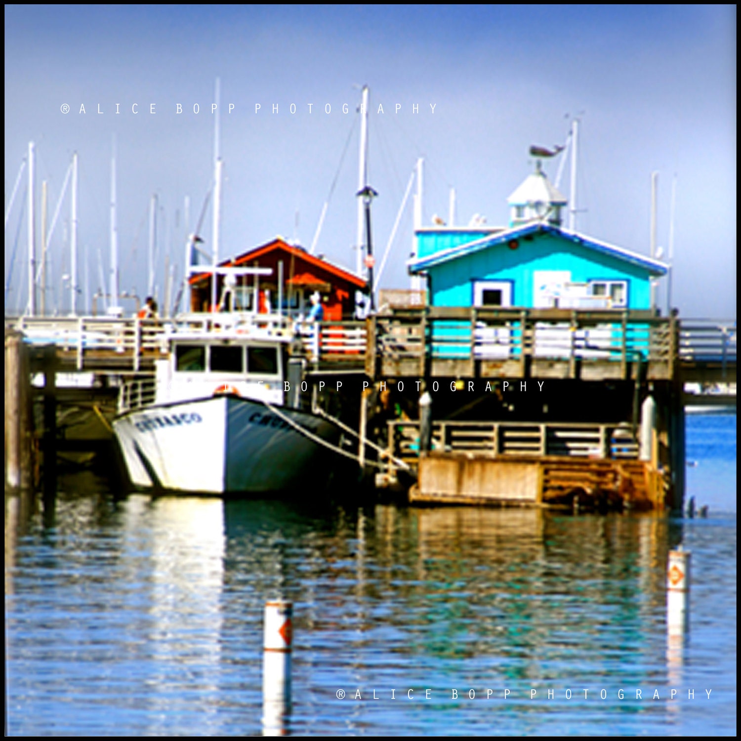 Fine Art Photography Print - Fisherman's Wharf - 8"x8" Wall Art Home Decor - Fine Art Photography Print