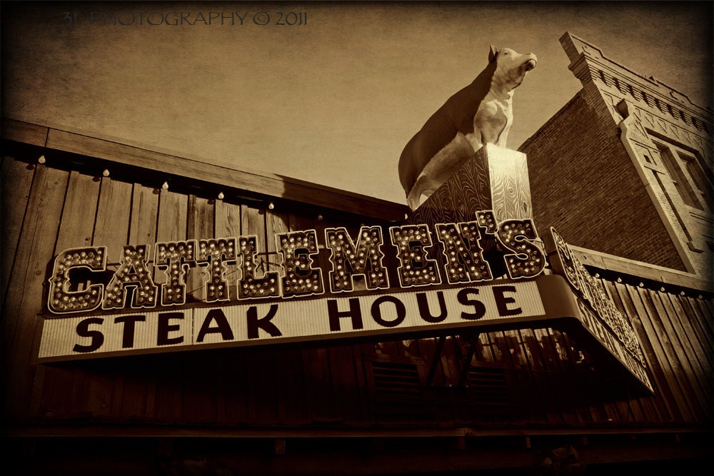 Cow Art Photography-Western Art-Texas Photography-Rustic Southwestern Home Decor