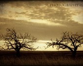Western Art Print. Fine Art Photography Rustic Home Decor Western Wall Art Texas Landscape