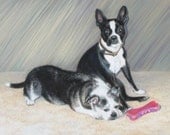 CUSTOM Pet Portrait Dog Cat Horse Pastel Original Painting 12"x16"