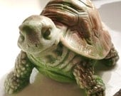 SOAP, Turtle Soap, Tanner the Turtle, Scented in Sage-Lemongrass, Handmade, Vegetable Based