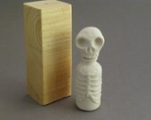 Skull and Ribcage Bottle