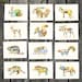 Woodland Creatures Series - PICK 1 PRINT