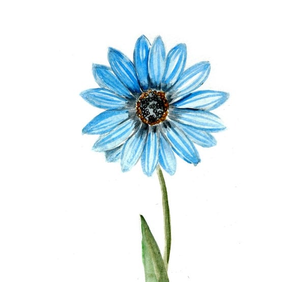 Original Watercolor Painting 5x7 artwork wall home decor fine art contemporary flower nature ferb illustration