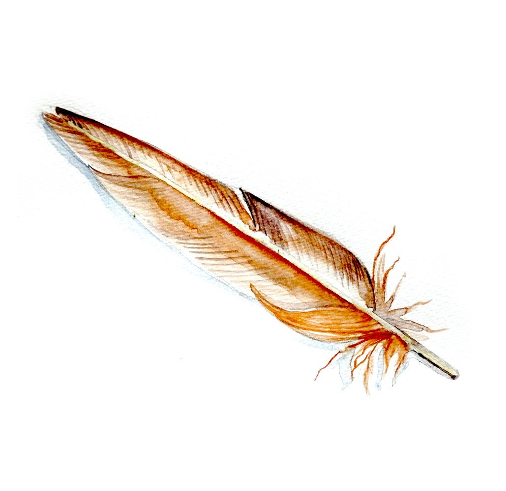 Realistic Original Watercolor Painting bird feather artwork wall home decor fine art  drawing nature illustration 5x7