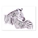 Zebra Original Watercolor Painting 13x19 fine art wild animal illustration wall art home decor realistic artwork