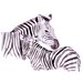 Zebra Original Watercolor Painting 13x19 fine art wild animal illustration wall art home decor realistic artwork