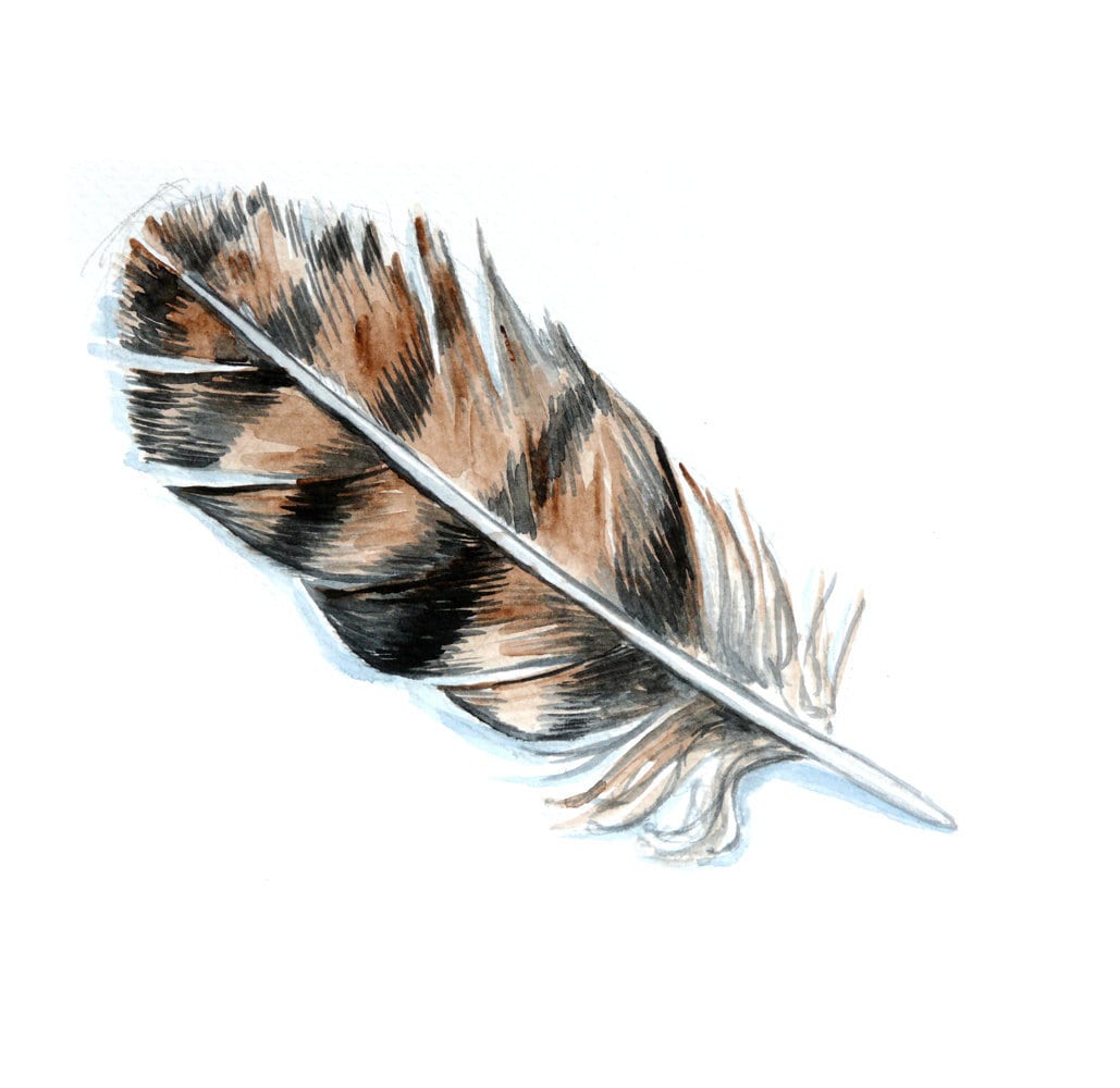 Realistic Original Watercolor Painting bird feather by fairysomnia