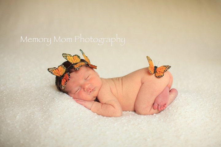 MAJESTIC MONARCH Headband - Preemie to Adult