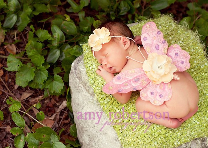 SUMMER SOIREE Angel Butterfly Wing SET
