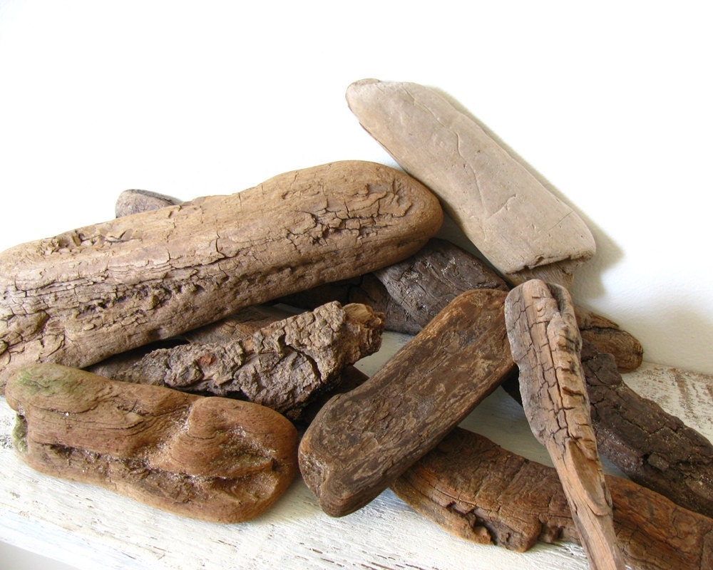 12 Driftwood Pieces Natural Beach Wood Nautical Decor