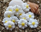 Mini Resin Daisy Flower - 13mm - White - 12 pcs