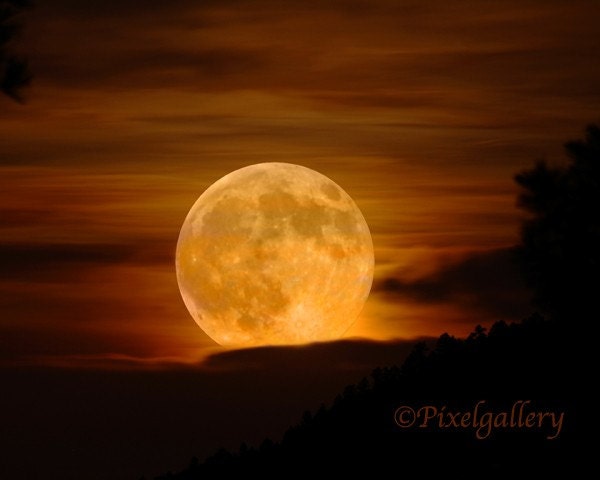 MOON - Not Seen This Large Again  for 18 Years - Super Moon - 8x10 Metallic Print - PixelGallery