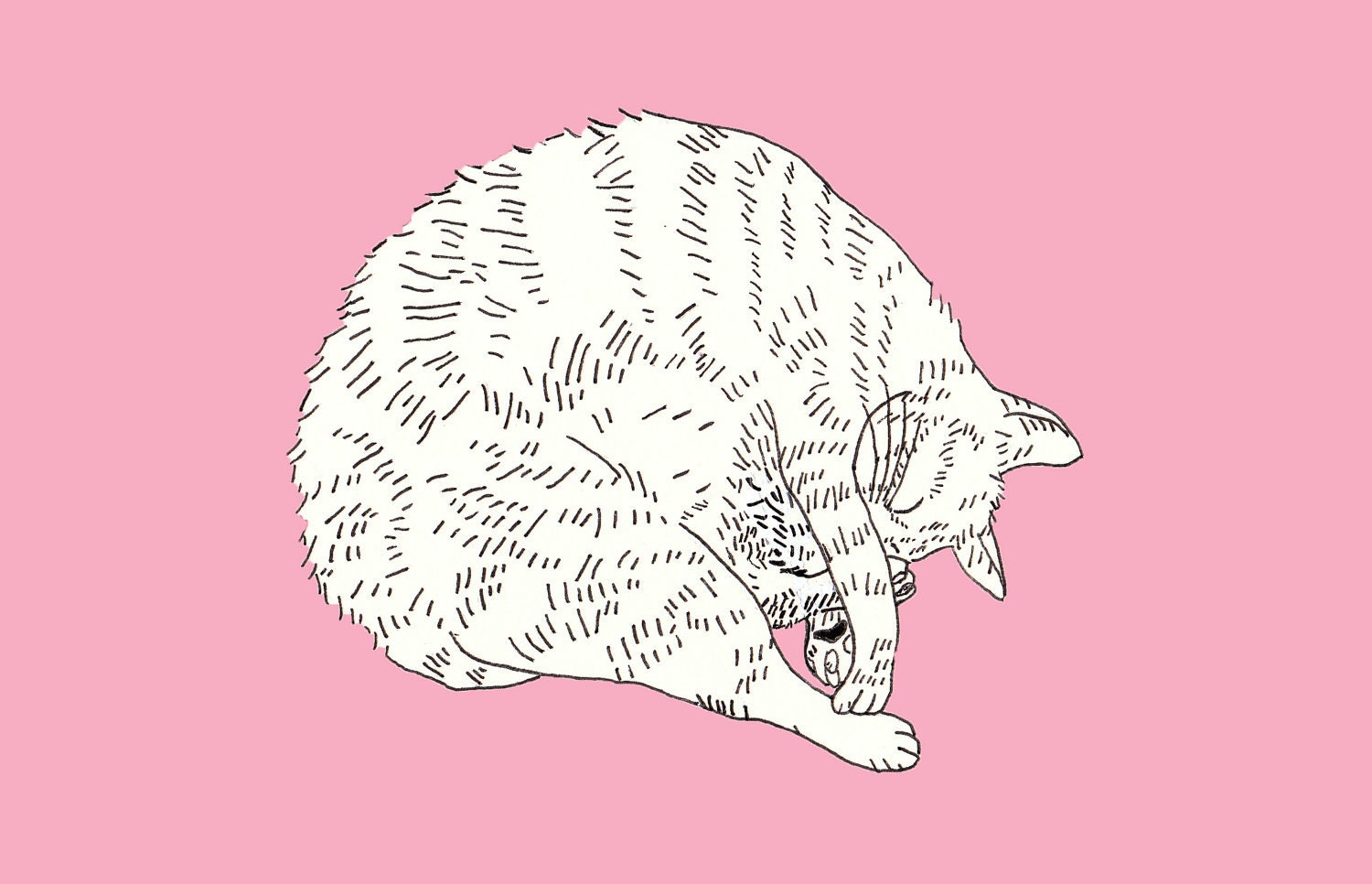 Sleeping Cat Line Drawing Print 5x7
