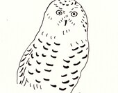 Snowy Owl Line Drawing Print 5x7