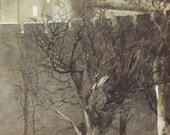Castle The Castle Chariot With Winter Trees And Skeleton Woman With Serpants, Alan Lee, Antique Print, Printed In USA, 1984