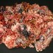 Wensleydale locks, hand painted fiber for spinning and felting, 3.1 oz,