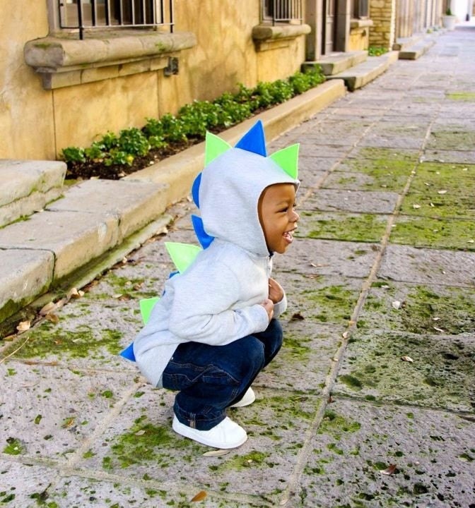 Dino Hoodie Customized Dinosaur Jacket