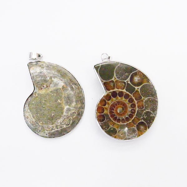 25x20mm Pair Ammonite Fossil Pendant -