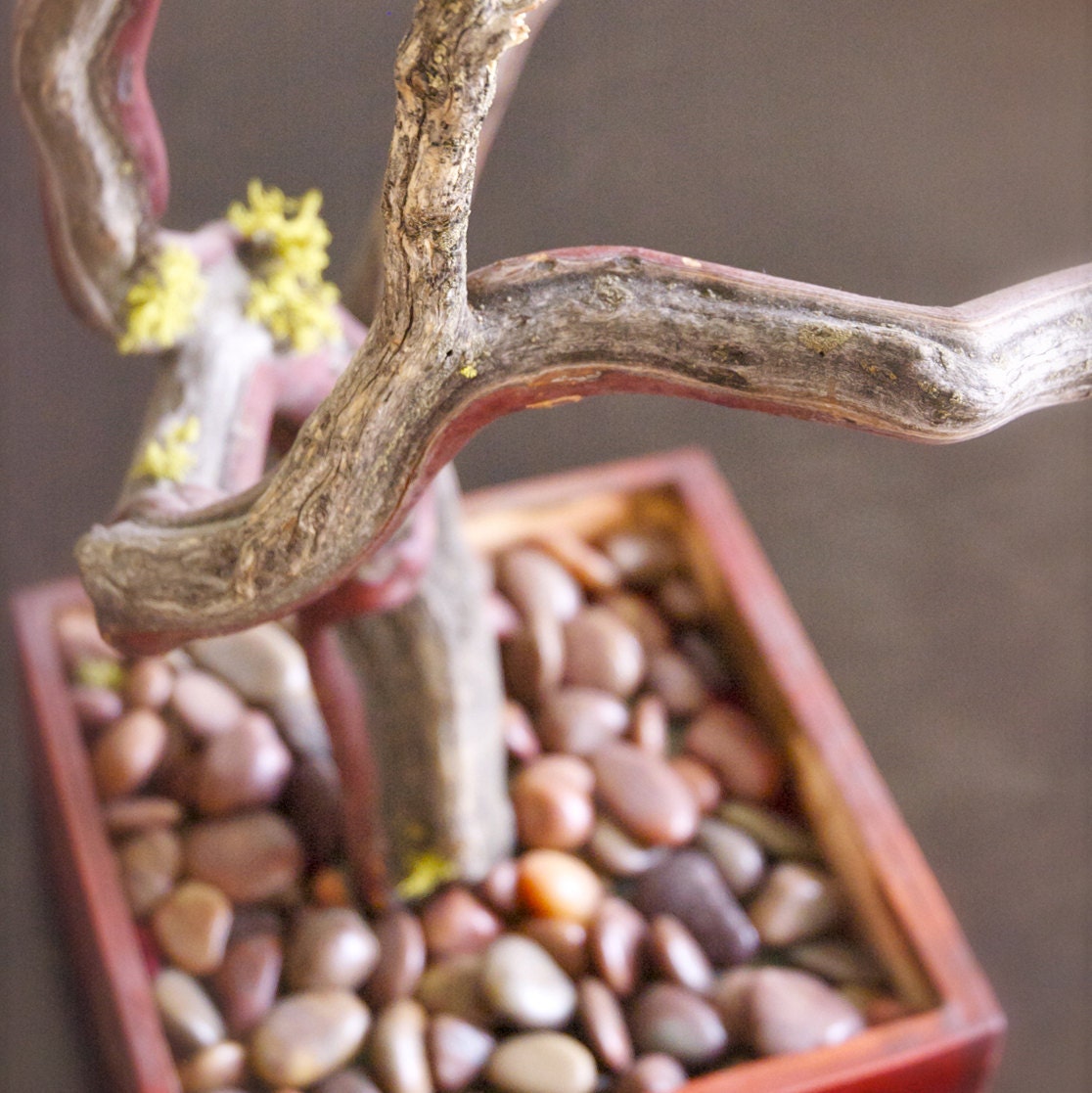 30" Red Jewelry Tree