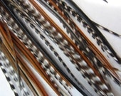 10 NATURAL MIX of Feathers for Feather Extensions & 3 extensions beads