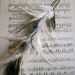 LOTUS Feather Hair Extension Clip