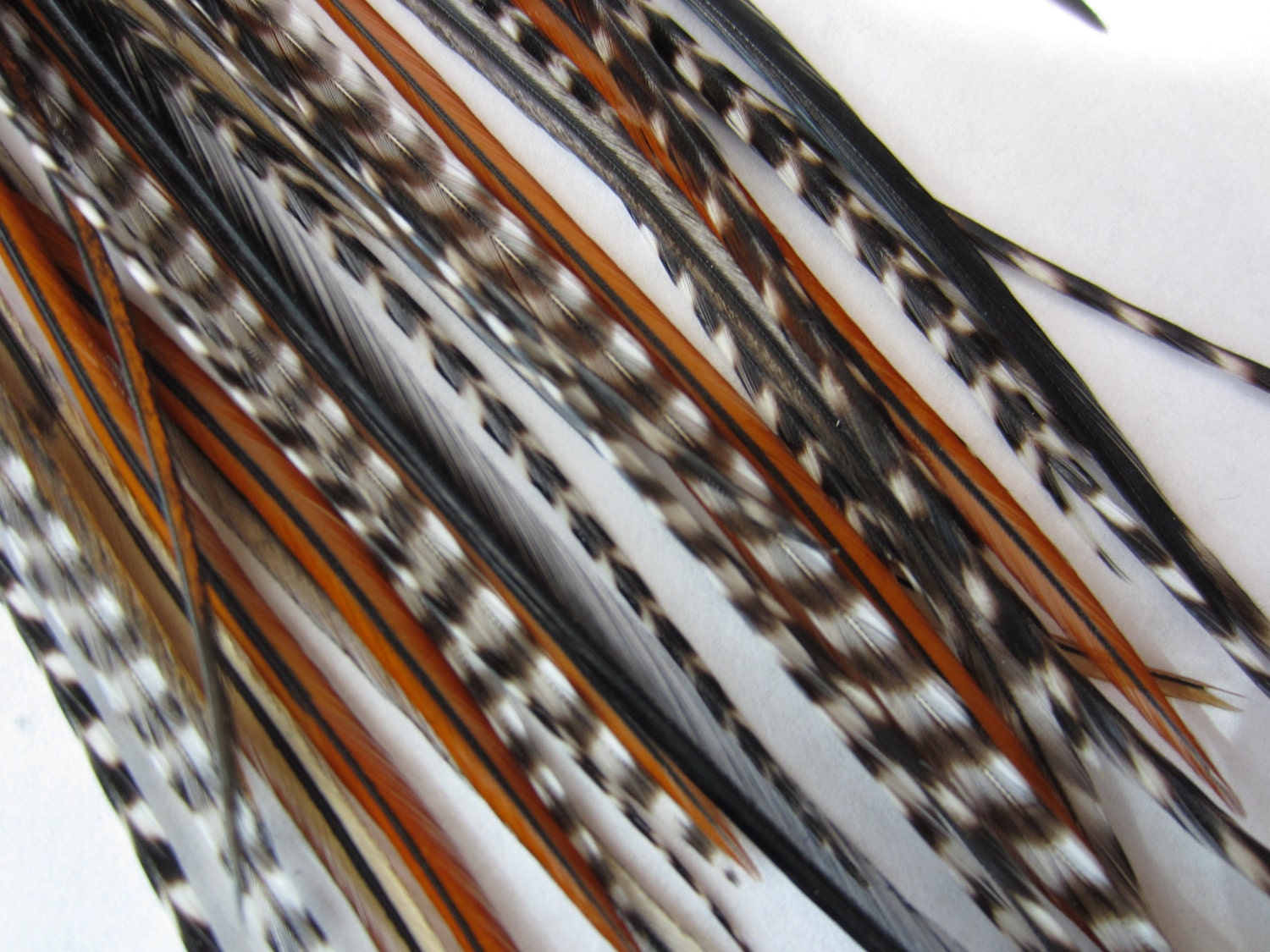 10 NATURAL MIX of Feathers for Feather Extensions & 3 extensions beads