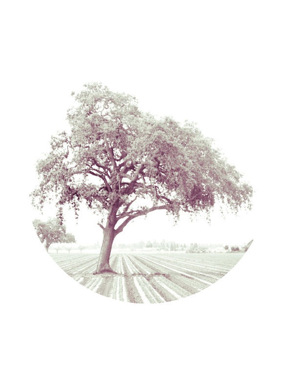 wall decor art print geometric - tree circle color nature print surreal purple field Black Friday Cyber Monday -  8x10 print