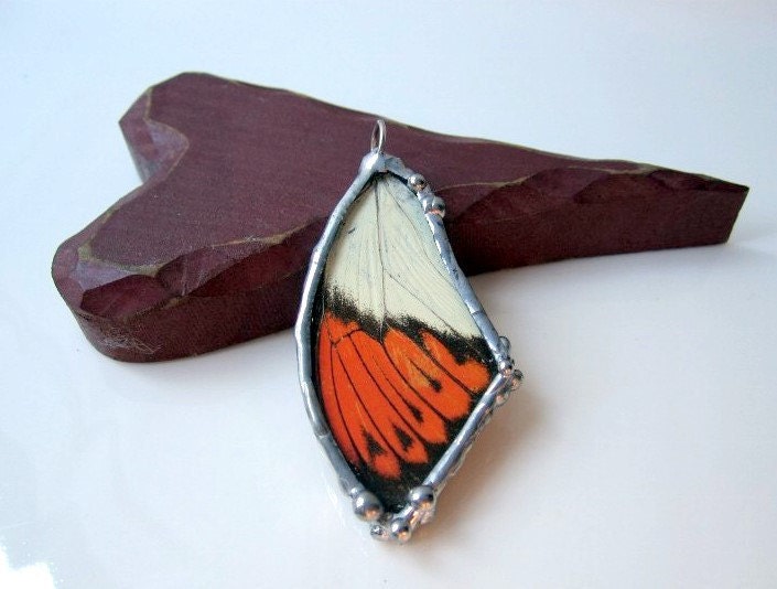 Real Butterfly Wing Jewelry, Great Orange Tip Butterfly