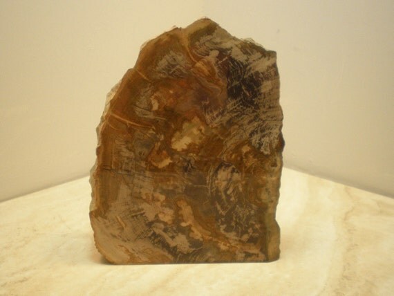 Earthy Oregon Petrified Wood Wedge, Highly Polished Free Standing Specimen, Protection, Grounding