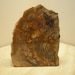 Earthy Oregon Petrified Wood Wedge, Highly Polished Free Standing Specimen, Protection, Grounding